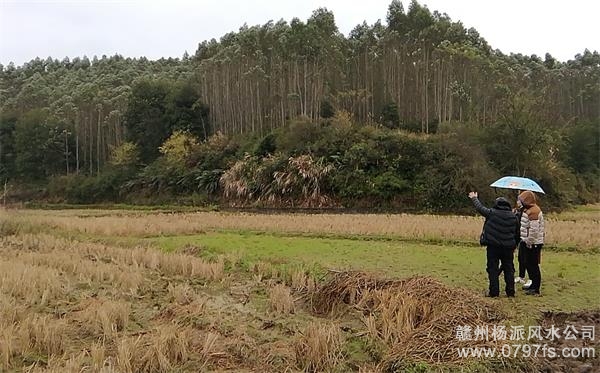 贵州陈老师带着爱徒寻龙点穴