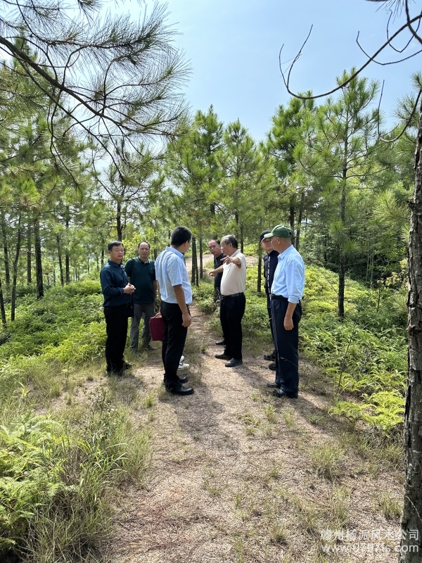 贵州学杨公风水跟陈荣昌老师实在